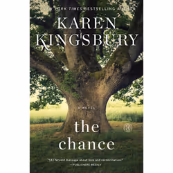 ISBN The Chance, Anglais, Livre de poche, 384 pages