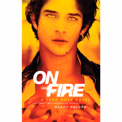 ISBN On Fire, Anglais, Livre de poche, 256 pages