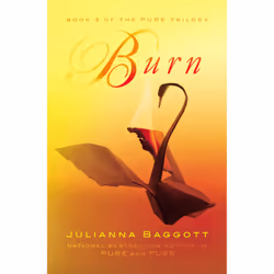 ISBN Burn, Thrillers, Anglais, Livre broché, 432 pages