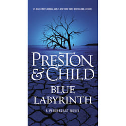 ISBN Blue Labyrinth livre Fiction Anglais 560 pages