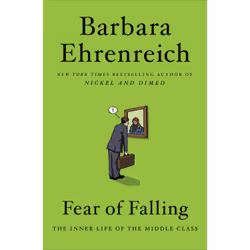 ISBN Fear of Falling, Littérature scientifique, Anglais, Livre broché, 416 pages