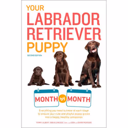 ISBN Your Labrador Retriever Puppy Month By Month, Livre broché, 368 pages