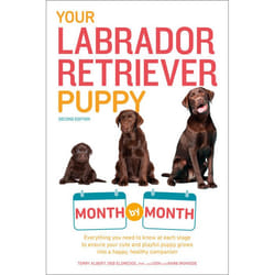 ISBN Your Labrador Retriever Puppy Month By Month livre