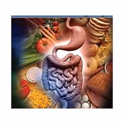 ISBN Nutrition and Bariatric Surgery, Médical, Anglais, Couverture rigide, 308 pages