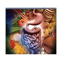 ISBN Nutrition and Bariatric Surgery livre Médical Anglais Couverture rigide