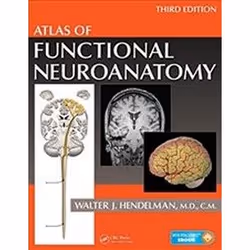 ISBN Atlas of Functional Neuroanatomy 3E, Education, Anglais, Couverture rigide, 336 pages
