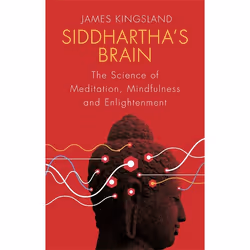 Hachette UK Siddhartha's Brain, Anglais, Livre broché, 336 pages