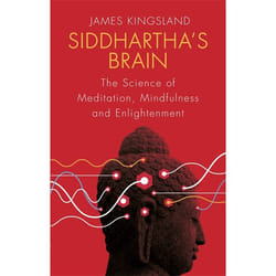 Hachette UK Siddhartha's Brain