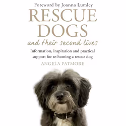 Hachette UK Rescue Dogs and Their Second Lives, Anglais, Livre broché, 192 pages