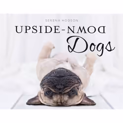 Hachette UK Upside-Down Dogs, Anglais, Couverture rigide, 128 pages