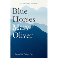 Hachette UK Blue Horses