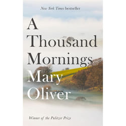Hachette UK A Thousand Mornings