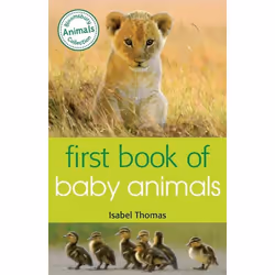ISBN First Book of Baby Animals, Anglais, Livre broché, 48 pages