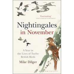 ISBN Nightingales in November (A Year in the Lives of Twelve British Birds)