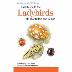 ISBN Field Guide to the Ladybirds of Great Britain and Ireland, Science &amp; nature, Anglais, Livre broché, 160 pages