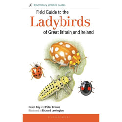 ISBN Field Guide to the Ladybirds of Great Britain and Ireland livre Science & nature Anglais