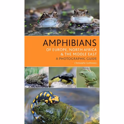 ISBN Amphibians of Europe, North Africa and the Middle East (A Photographic Guide), Anglais, Livre broché, 224 pages