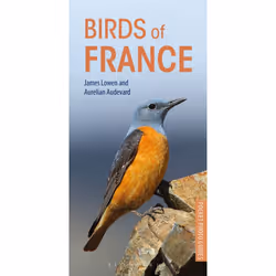 ISBN Birds of France, Photographie, Anglais, Livre broché, 144 pages