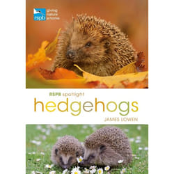 ISBN RSPB Spotlight Hedgehogs