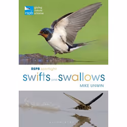 ISBN RSPB Spotlight Swifts and Swallows, Anglais, Livre broché, 128 pages