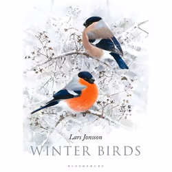 ISBN Winter Birds, Anglais, Couverture rigide, 344 pages