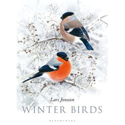 ISBN Winter Birds Couverture rigide