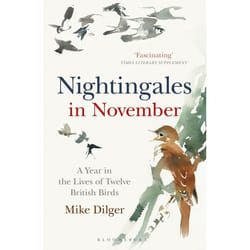 ISBN Nightingales in November (A Year in the Lives of Twelve British Birds)