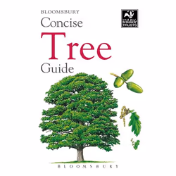 ISBN Concise Tree Guide, Science &amp; nature, Anglais, Livre broché, 192 pages