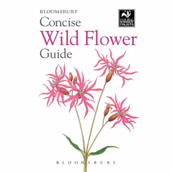 ISBN Concise Wild Flower Guide, Science &amp; nature, Anglais, Livre broché, 192 pages