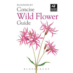 ISBN Concise Wild Flower Guide livre Science & nature Anglais
