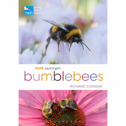 ISBN RSPB Spotlight Bumblebees, Anglais, Livre broché, 128 pages