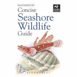 ISBN Concise Seashore Wildlife Guide, Science & nature, Anglais, Livre broché, 192 pages