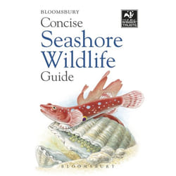 ISBN Concise Seashore Wildlife Guide livre Science & nature Anglais