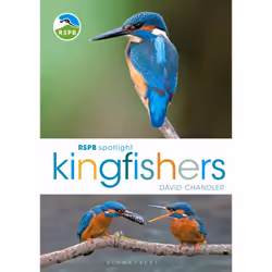 ISBN RSPB Spotlight Kingfishers, Anglais, Livre broché, 128 pages