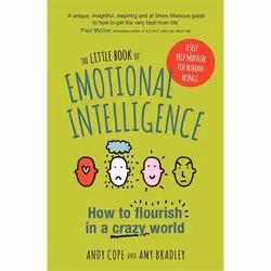 Hachette UK The Little Book of Emotional Intelligence, Anglais, Livre broché, 192 pages