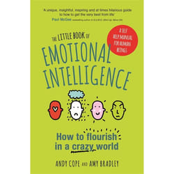 Hachette UK The Little Book of Emotional Intelligence