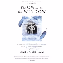 Hachette UK The Owl at the Window, Anglais, Livre broché, 272 pages