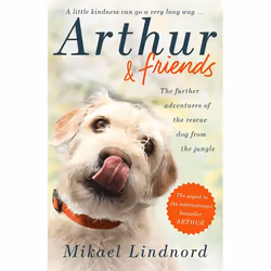 Hachette UK Arthur and Friends, Anglais, Livre broché, 224 pages