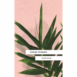 Hachette UK Evening Primrose: a heart-wrenching novel for our times, Anglais, Livre broché, 160 pages