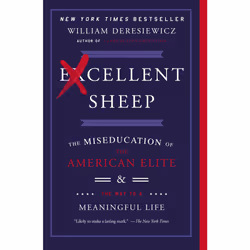 ISBN Excellent Sheep, Anglais, Livre de poche, 256 pages