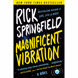 ISBN Magnificent Vibration, Anglais, Livre de poche, 288 pages