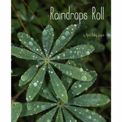 ISBN Raindrops Roll, Anglais, Couverture rigide, 40 pages