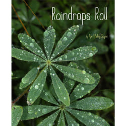 ISBN Raindrops Roll Couverture rigide