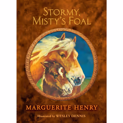ISBN Stormy, Misty's Foal, Anglais, Couverture rigide, 256 pages