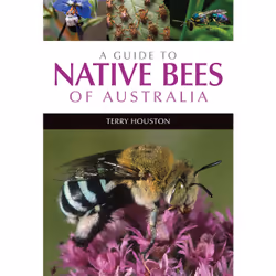 ISBN A Guide to Native Bees of Australia, Livre broché, 280 pages