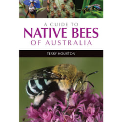 ISBN A Guide to Native Bees of Australia livre Livre broché 280 pages