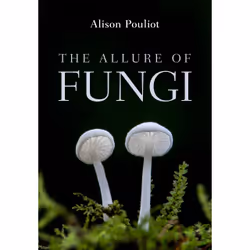 ISBN The Allure of Fungi, Livre broché, 280 pages