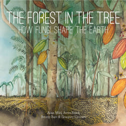 ISBN The Forest in the Tree livre Couverture rigide