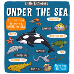 ISBN Little Explorers: Under the Sea, Anglais, Couverture rigide, 18 pages