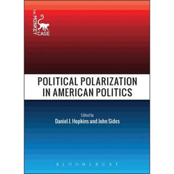 ISBN Political Polarization in American Politics